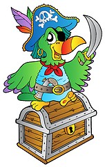 Image showing Pirate parrot on treasure chest