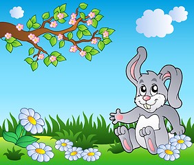 Image showing Bunny on meadow with daisies