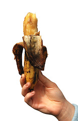 Image showing rotted banana