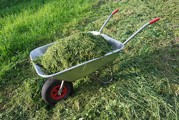 Image showing wheelbarrow