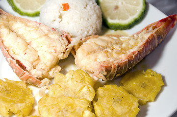 Image showing lobster central american style with tostones rice