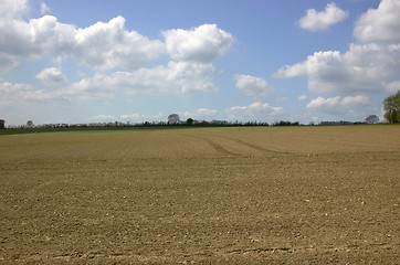 Image showing Spring field before the crops