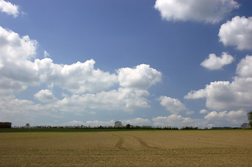 Image showing Spring field before the crops