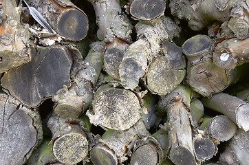 Image showing Logs