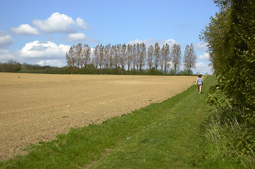 Image showing A walk in the country