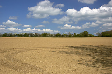 Image showing Spring field