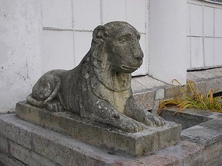 Image showing lion