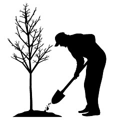 Image showing Planting a tree