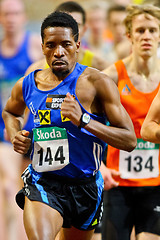 Image showing Indoor Track and Field Championship 2011