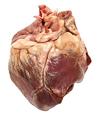 Image showing Heart