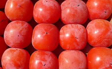 Image showing Red Persimmon fruits in autumn