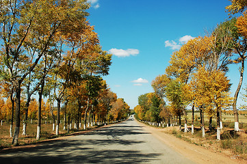 Image showing Road in Autumn