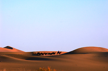 Image showing Desert at sunset