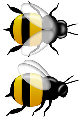 Image showing Bumble Bee Top and Side View Isolated on White