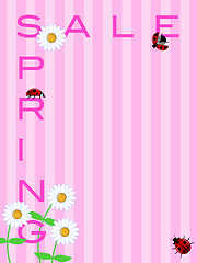 Image showing Spring Sale Sign with Daisies Flowers and Ladybugs