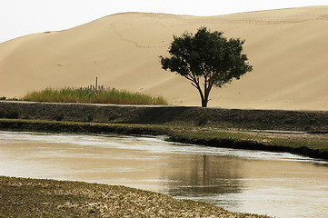 Image showing Landscape of river and sandhills with a single tree