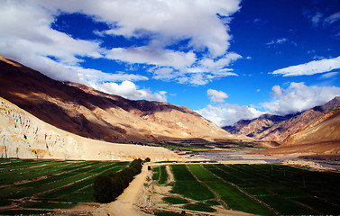 Image showing Landscape in Tibet