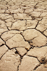 Image showing Dried and cracked earth