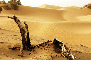 Image showing Landscape of deserts