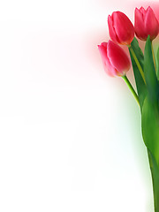 Image showing Bouquet of beautiful red tulips. EPS 8