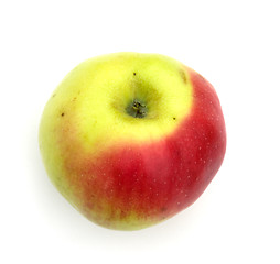 Image showing Apple on a white background.