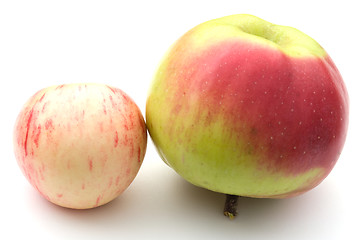 Image showing Apples.