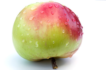 Image showing Apple in water drops.