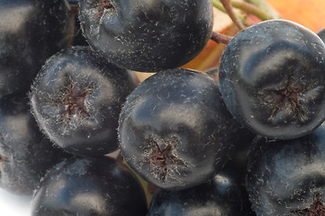 Image showing Berry background.