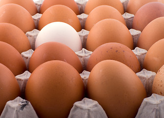 Image showing Background from eggs.