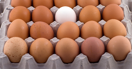 Image showing Background from eggs.