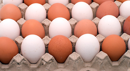 Image showing Background from eggs.