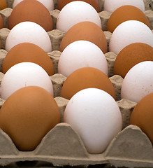 Image showing Background from eggs.