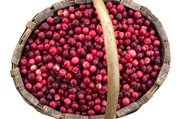 Image showing Basket with a cranberry.