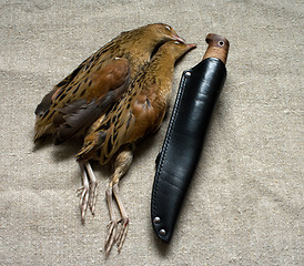 Image showing Hunting knife and game.