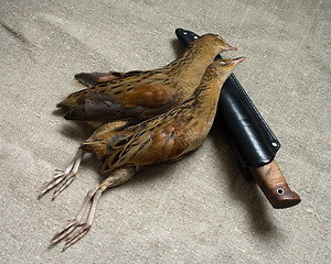 Image showing Knife and birds.