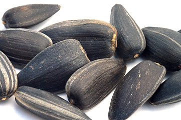 Image showing Seeds of sunflower.