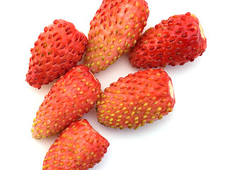 Image showing Garden wild strawberry.