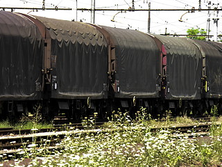 Image showing Abandoned Train Wagons