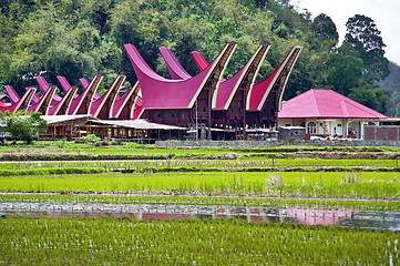 Image showing Toraja village