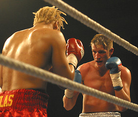 Image showing boxing