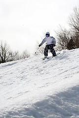 Image showing Youth Freestyle Skiing