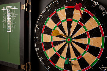 Image showing Professional Dart Board