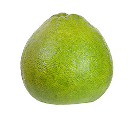 Image showing Tropical fruit - Pomelo