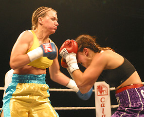 Image showing female boxing