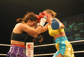 Image showing female boxing