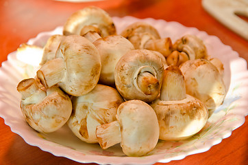 Image showing champignons