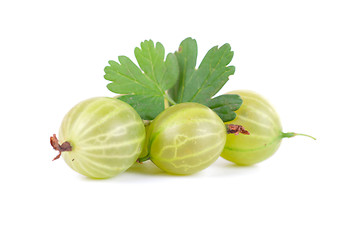 Image showing gooseberries