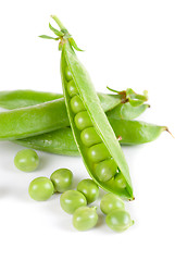 Image showing Ripe pea