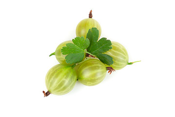 Image showing gooseberries