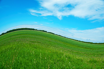 Image showing nature background